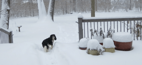 Screen Shot 2015-02-28 at 11.06.59 AM