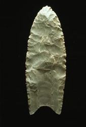 170px-Clovis_Point