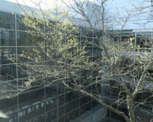 Screen Shot 2016-05-29 at 8.22.24 AM