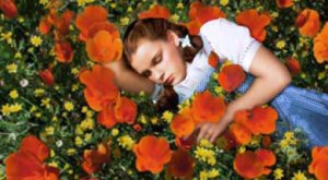 WizardofOz_poppies