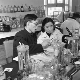Tu_Youyou_and_Lou_Zhicen_in_1951.TIF